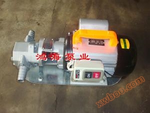 WCB mkono gear pampu