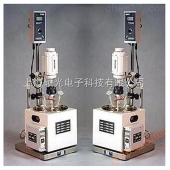 Shanghai multifunctional reactor